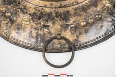 Foto von Bronzebreitrandfußschale (NHMW-PRAE-025274)